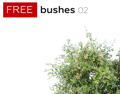 FREE STUFF - bushes 2