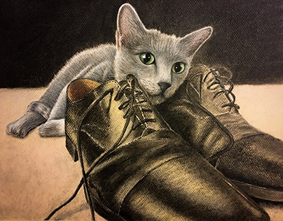 A Russian Blue & his Favorite Shoes