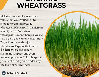 Andi's Way - Organic Wheatgrass Delivered Fresh