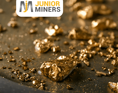 Get List of Gold Wash Plant for Sale with Junior Miners