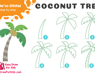 How To Draw A Coconut tree