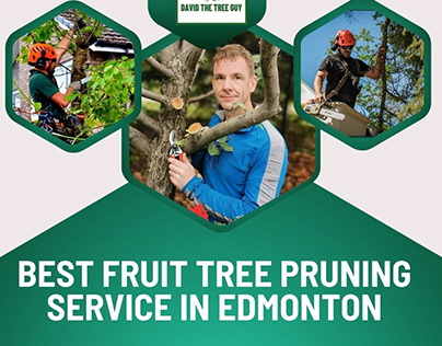 Best Fruit Tree Pruning Service in Edmonton