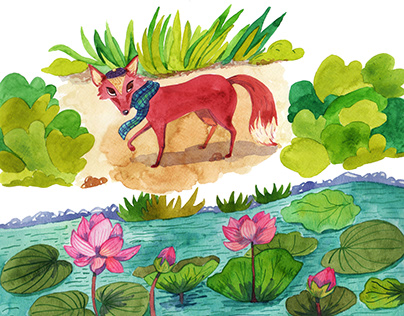 Tako the Fox - Children's Book Illustration