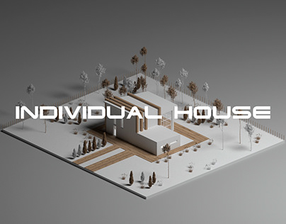 Project thumbnail - Individual house