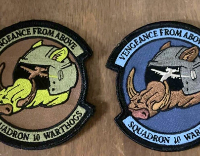 Embry Riddle Squadron 10 Patch