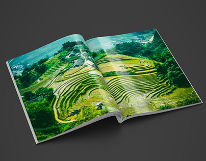Terraced rice fields of Sapa, Vietnam viewed from above