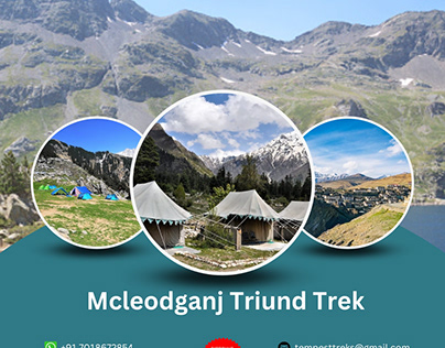 Mcleodganj Triund Trek At Himachal Pradesh