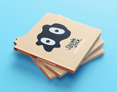 Squink Stick, Packaging Design
