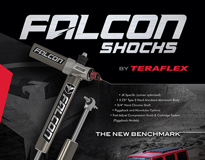 Graphic Design: Falcon Shocks