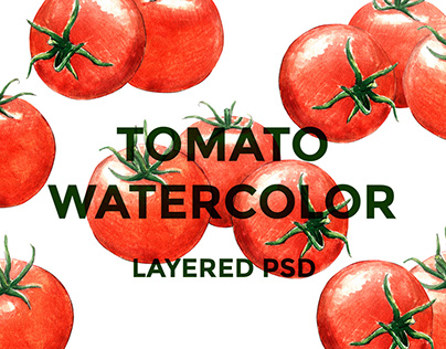 Tomato watercolor set