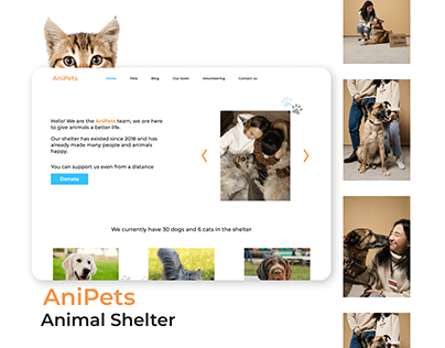 "AniPets" animal shelter website