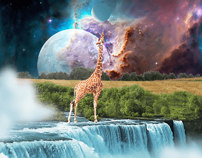 giraffe's moon