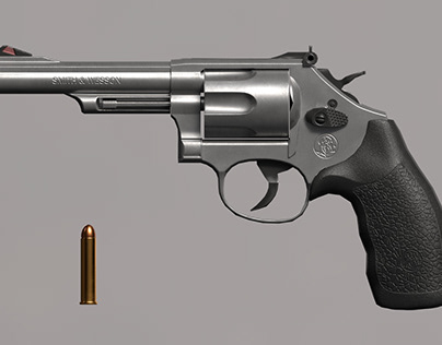 Project thumbnail - Smith&Wesson