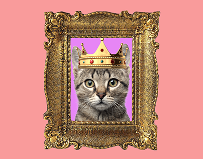 Queen of Kittens Composite