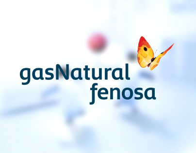 Gas Natural Fenosa - Calentadores