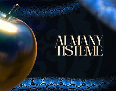 Almany Tisteme (Album Visual)