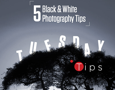 Canon Photography Tips
