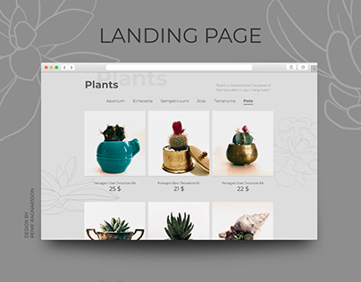 Plant shop landing page | Succulent