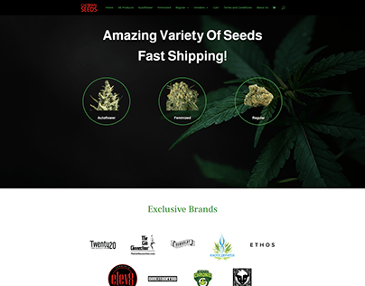 Website design for Chitown Seeds