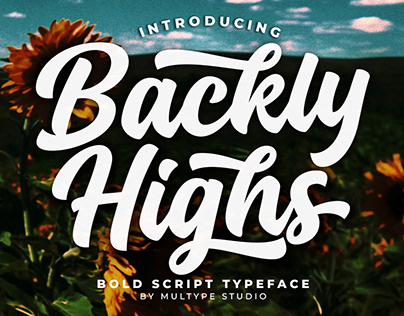 Backly Highs Bold Script Font