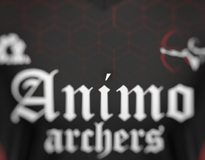 Animos Archers Volleyball Sports Jersey