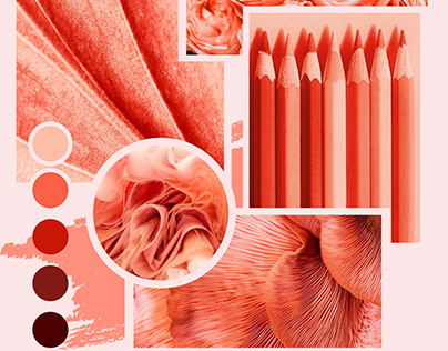 Living coral moodboard