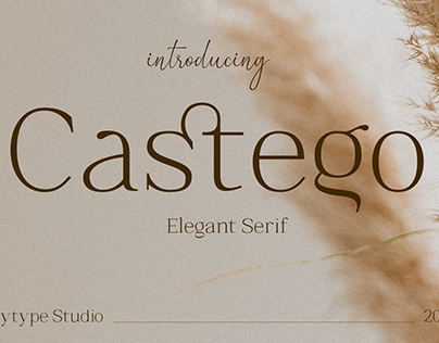 Castego - Elegant Serif