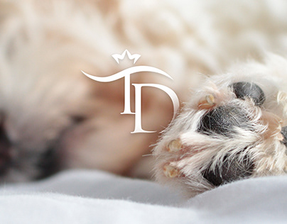 Логотип для зоомагазина / Logotip dog shop