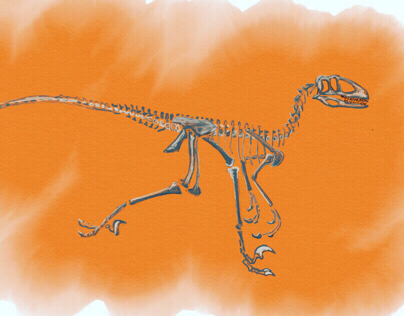 ANATOMY: Raptor // Deinonychus