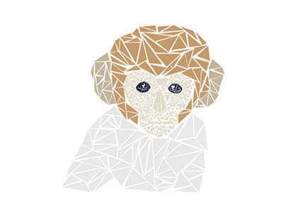 Polygonal Monkey