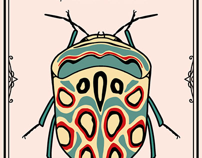 Project thumbnail - Patrones de insectos
