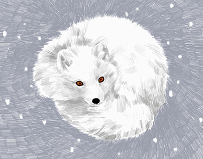 winter white fox
