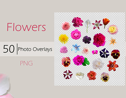 Flower buds. Photo Overlays
