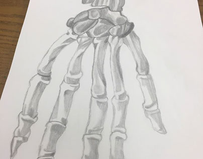 Skeleton hand sketch