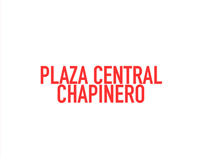 DPS Plaza Central Chapinero - A. U. Avanzada 2016-1