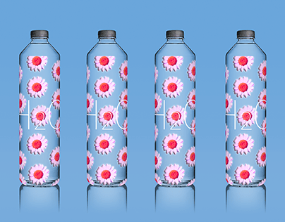 Packaging Design for Bottled Water H2O