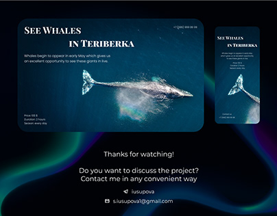 Banner and mobile version. Whales in Teriberka (Russia)