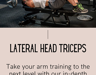 Lateral Head Triceps