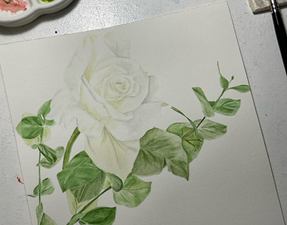 Watercolor white rose with eucalyptus