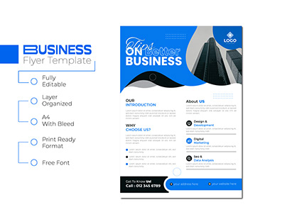 Business Flyer Template and Print Design