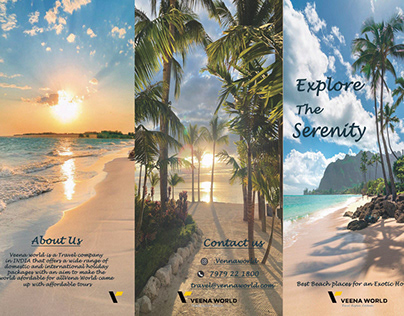 Brochure design - Veena World (branding)