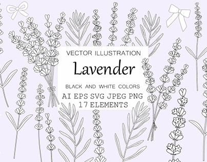 Lavender flowers. Lavender graphics. Lavender coloring
