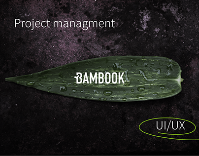 Project managment app - ui/ux
