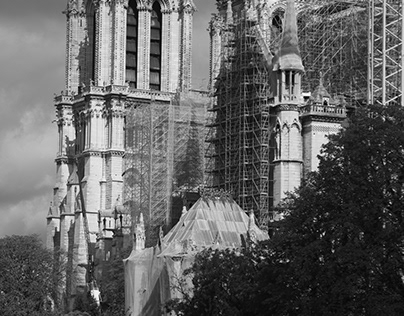 Project thumbnail - Notre Dame