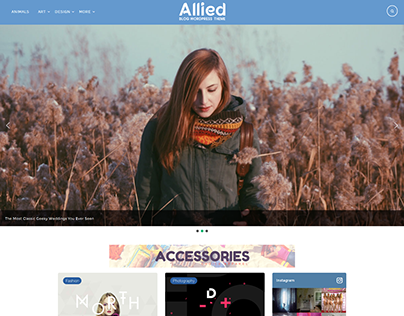Allied Responsive Blog WordPress Theme