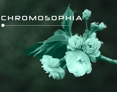 Chromosophia Project