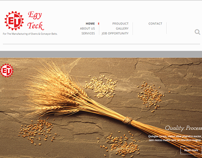 Egyteck Co. Website