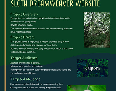 Sloth Website Creative Brief