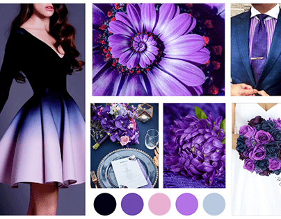 Lilac & Navy Blue