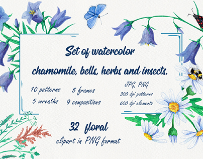 Watercolor summer flowers
